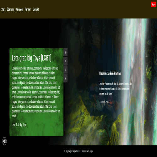 Alte Webseite Bild 3